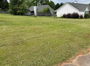 Faith J.'s lawn care services service result