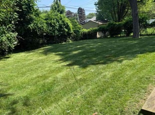 Saida M.'s lawn maintenance service result