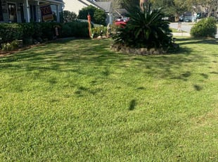 Roward S.'s lawn service service result