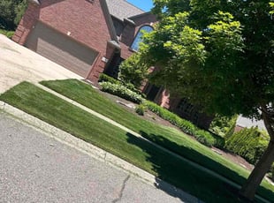 Jeff B.'s lawn care service result