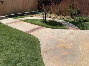 Liang H.'s turf care service result