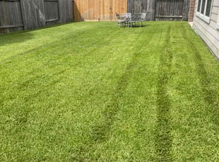 Irionne C.'s lawn care services service result