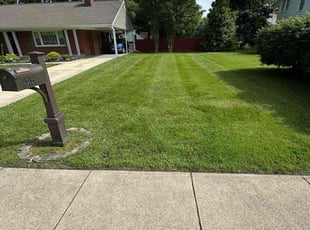 Heather V.'s landscaping service result