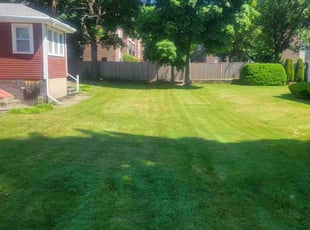Valencia H.'s lawn care services service result