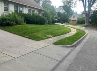 Laura H.'s lawn care service result