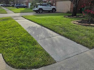 Kenneth D.'s Bush Trimming service result