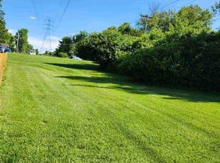 Jenny Z.'s lawn maintenance service result