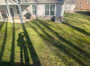 Onika M.'s grass cutting service result