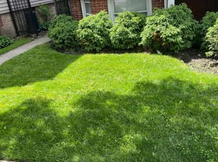 Kathy F.'s lawn care service result