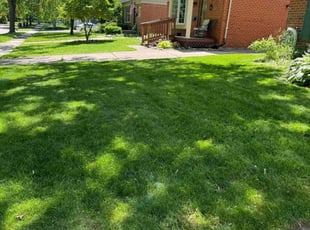 Nicole M.'s lawn care service result