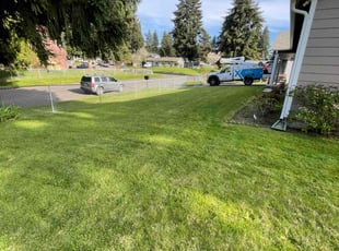 Tiffini B.'s turf maintenance service result