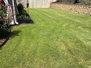 Daryl S.'s turf maintenance service result