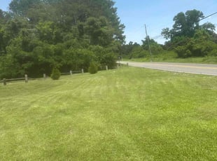 Ct L.'s lawn service service result