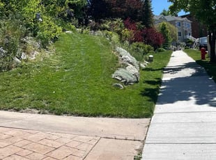 Valerie G.'s grass cutting service result