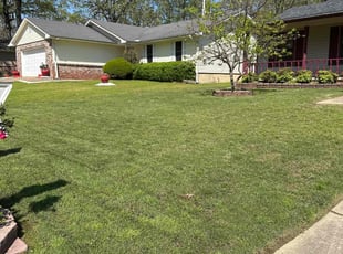 Victor N.'s turf care service result