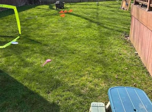 Gina C.'s turf care service result