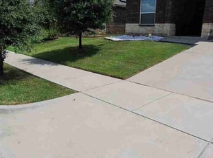 Carlyn H.'s turf care service result