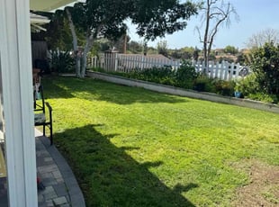 Frank T.'s grass cutting service result