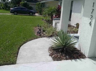 Richard T.'s Flower Bed Weeding service result