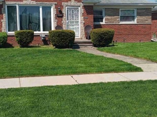 Lorna T.'s Bush Trimming service result