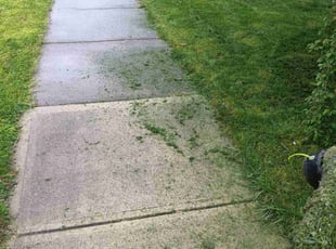 Jerry H.'s turf maintenance service result