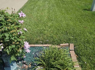 Tim F.'s grass cutting service result