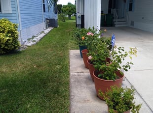 Vicki B.'s grass maintenance service result