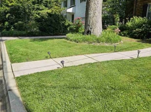 Naga P.'s lawn care service result