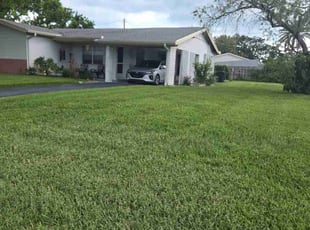 Rosy P.'s grass cutting service result