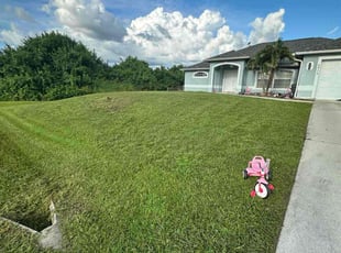 Terry F.'s grass maintenance service result