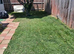 Reiven R.'s lawn maintenance service result