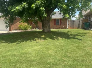 Caleb B.'s lawn service service result