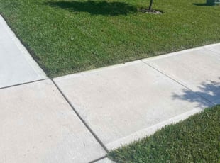 Charlene M.'s turf care service result