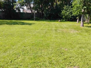 Dori S.'s lawn care service result
