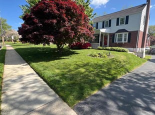 Candace W.'s gardening service service result