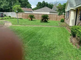 Darren C.'s lawn service service result