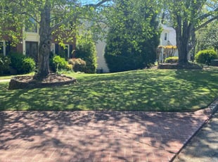 Sharon N.'s turf maintenance service result