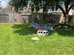 Isaiah M.'s lawn care service result