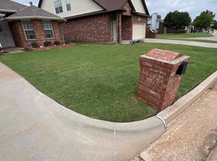Andrea D.'s lawn maintenance service result