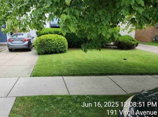 Lori R.'s turf maintenance service result