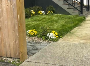 Brandon L.'s lawn care service result