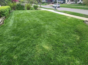 Kim M.'s lawn service service result