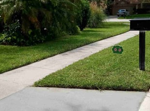 Sarah w.'s lawn service service result