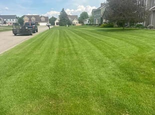 Valorie E.'s grass cutting service result