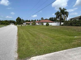 Kaamilya B.'s lawn care service result