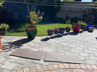 Delbert M.'s grass maintenance service result