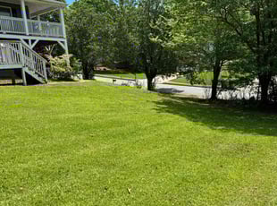 Jazmine B.'s grass cutting service result