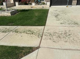 Donna H.'s lawn care services service result