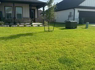 Mary C.'s lawn care services service result