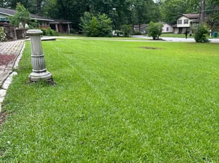 Carrie F.'s turf care service result